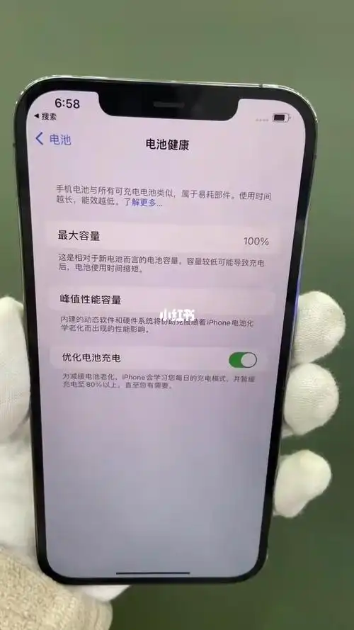 苹果12promax128g国行电池100价格