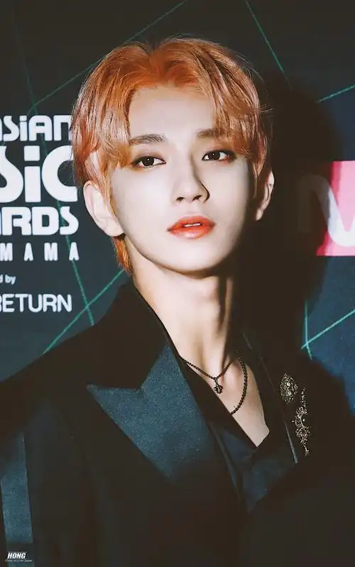 seventeen joshua 洪知秀 cr.logo 侵权删
