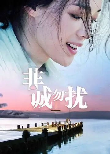 非诚勿扰_购票_剧情介绍_演职人员_图集_猫眼电影