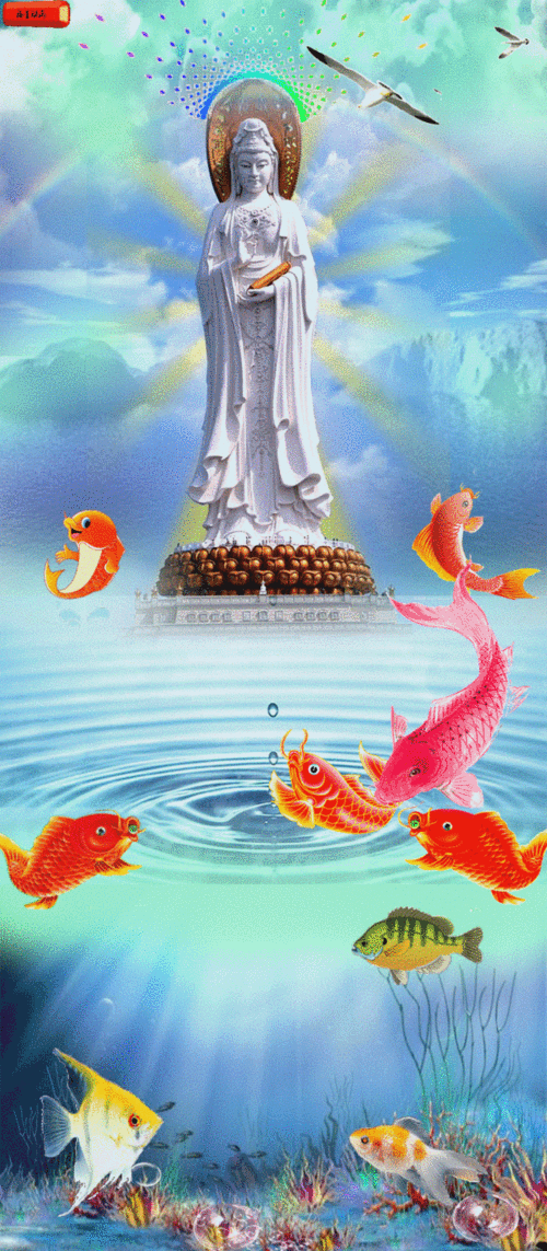 658_1504竖版 竖屏gif 动态图 动图