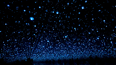 启东第①家"恋爱博物馆"高甜来袭……这碗狗粮我先干为敬!_星空