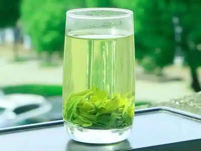 「湖北茶礼」襄阳高香茶——湖北高香型历史名茶