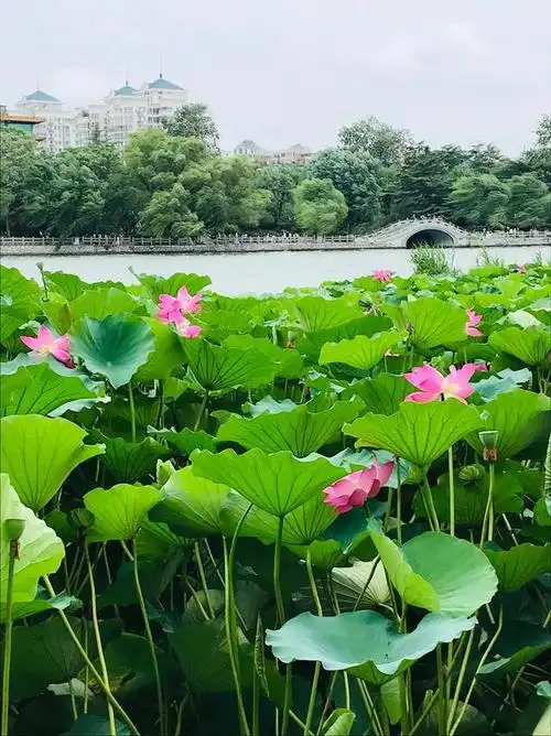 艺术与设计 - 60张夏天的照片:有时间一起旅行吧