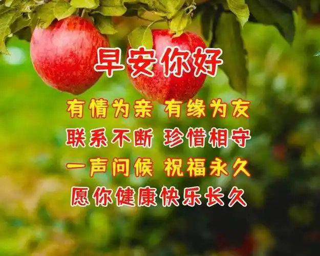 早上好祝福语优美句子带字图片早上好带字祝福图片精选