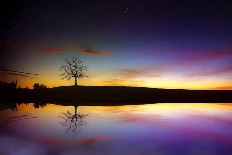 秋天树林小溪绘画高清壁纸图片(3840x2160) - 4k风景高清壁纸 - 典雅