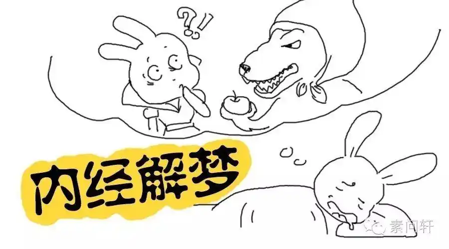 爱做梦不是你的错—《内经解梦》_手机搜狐网