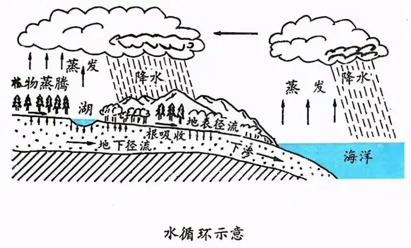 净水知识关于一滴水 我们了解多少呢?_手机搜狐网