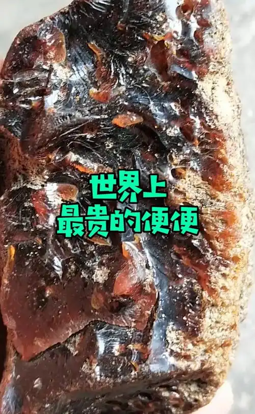 世界上最贵的便便,香奈儿都用到它!真是不可思议