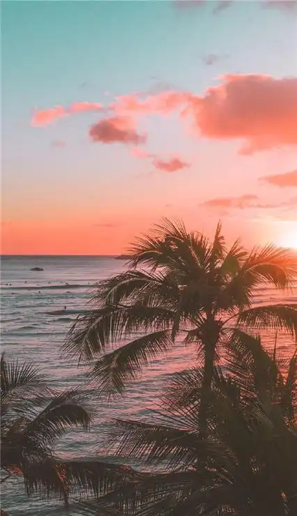 高颜值的手机壁纸高清无水印2023 全网都很火的潮图手机壁纸