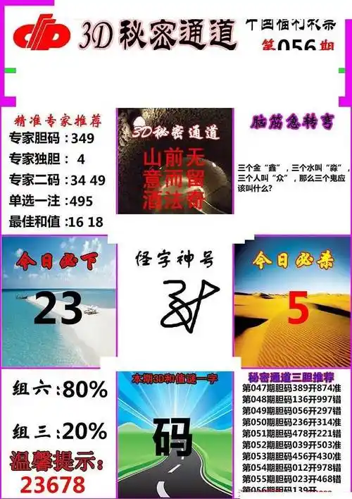 福彩3d20056期秘密通道胆码两版3d图谜
