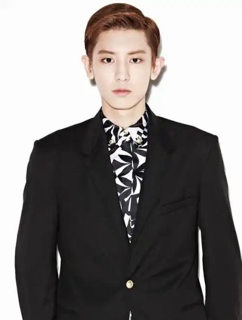 日韩明星血型:a型星座:射手座身高:生肖:猴体重:朴灿烈,1992年11月27