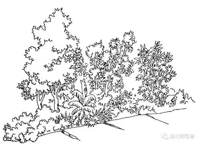 素描 strong>树丛 /strong>的绘画画法_简笔画教案-简笔画大全
