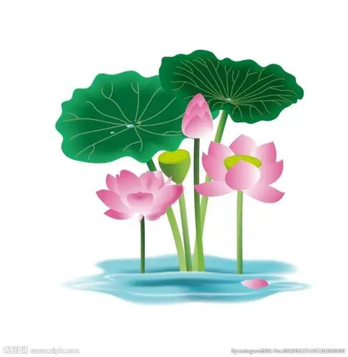 荷花设计图__广告设计_广告设计_设计图库_昵图网nipic.com