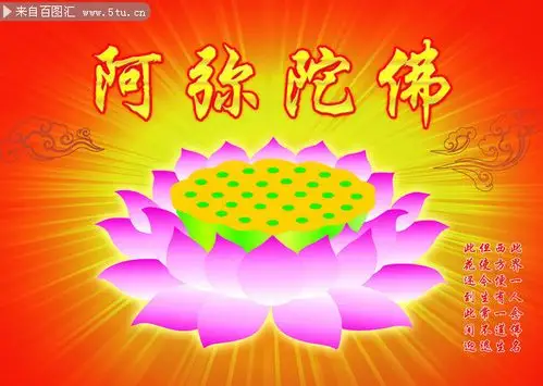 阿弥陀佛佛教莲花座图片