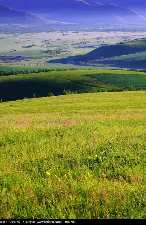 山地草甸景观