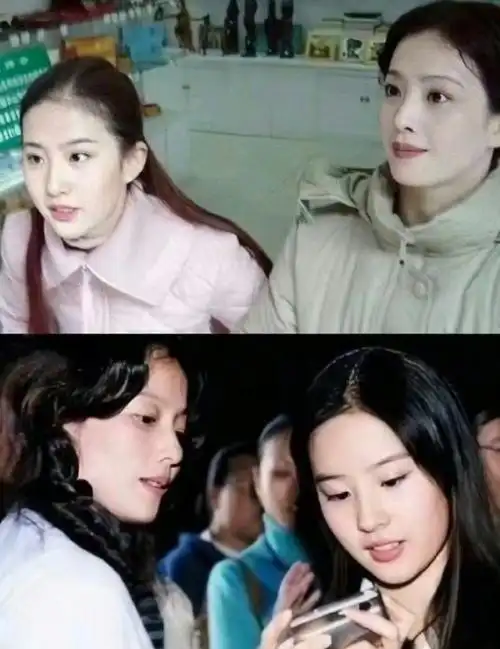 刘亦菲家人照片 基因的稳定发挥