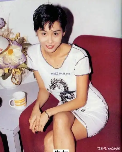 你们都知道20世纪80年代的香港明星吗?看看蔡少芬女士青涩的