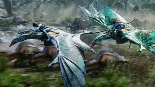 重看阿凡达依旧是神作