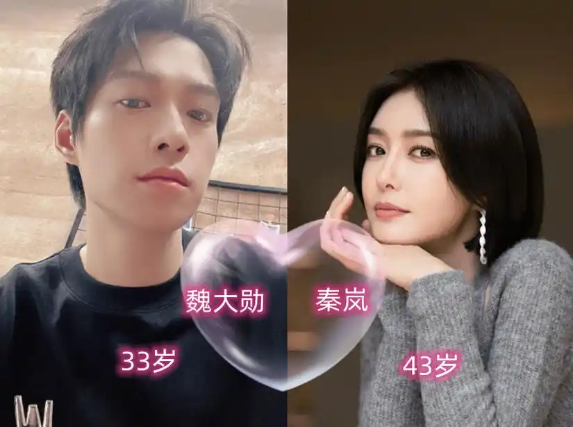 除了秦岚之外,魏大勋之前的几任女友也都是姐姐类型的,杨幂和魏大勋也