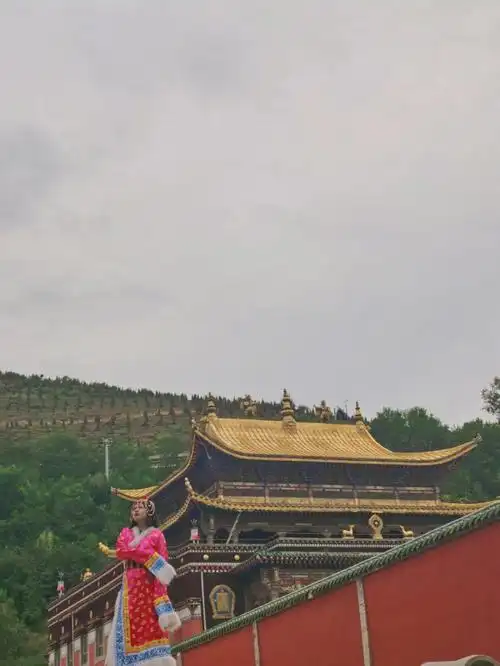 在夏天遇见最美的塔尔寺