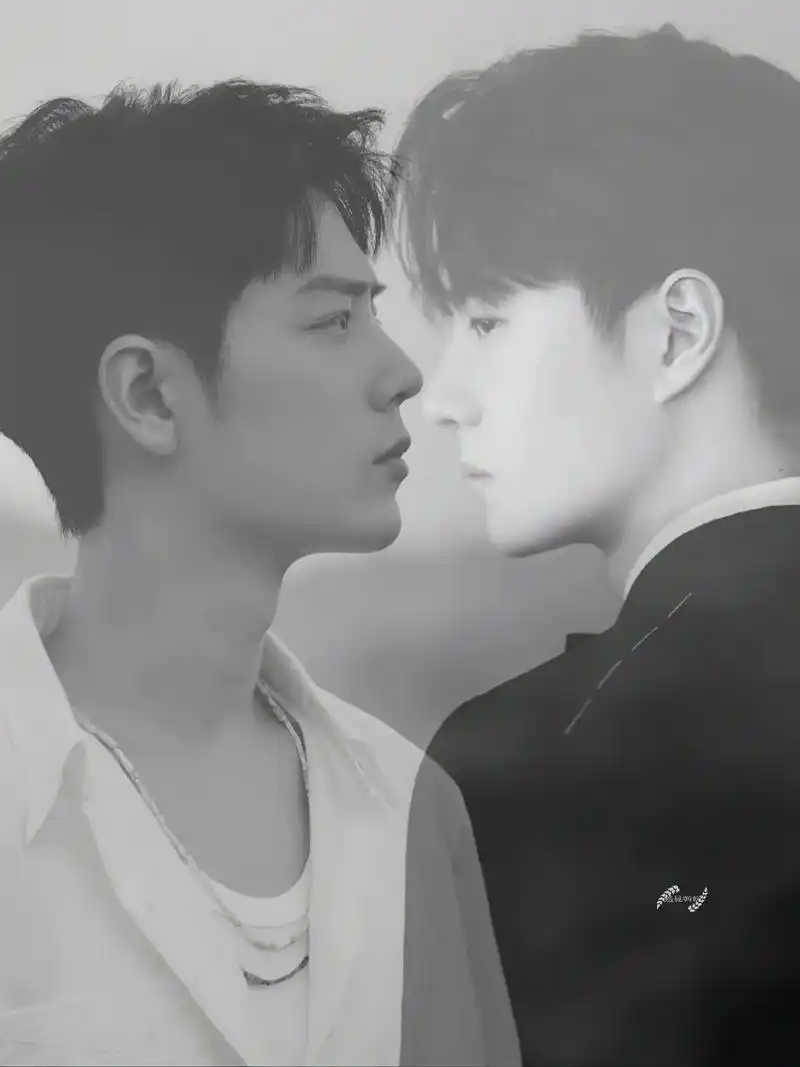 肖战王一博壁纸."我看过无数条阴谋论,但都抵不过王先生望向肖 - 抖音