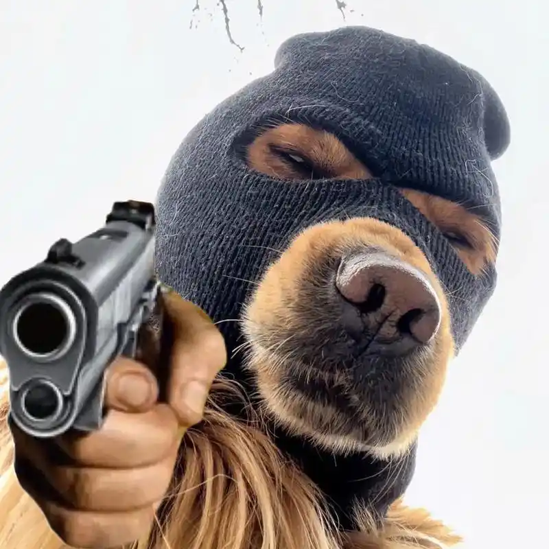 原图出自@皮蛋与饲养员 狗子太可爱了叭 p1p2拿枪的图是后 - 抖音