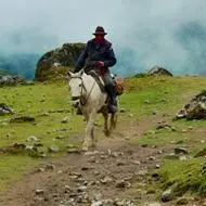 骑马头像图片大全