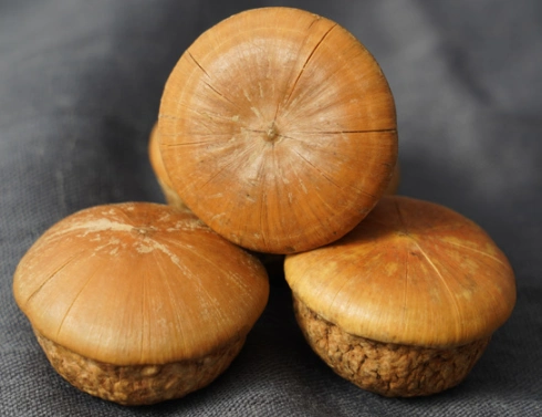 壮阳果的功效详解阳果的三大功效