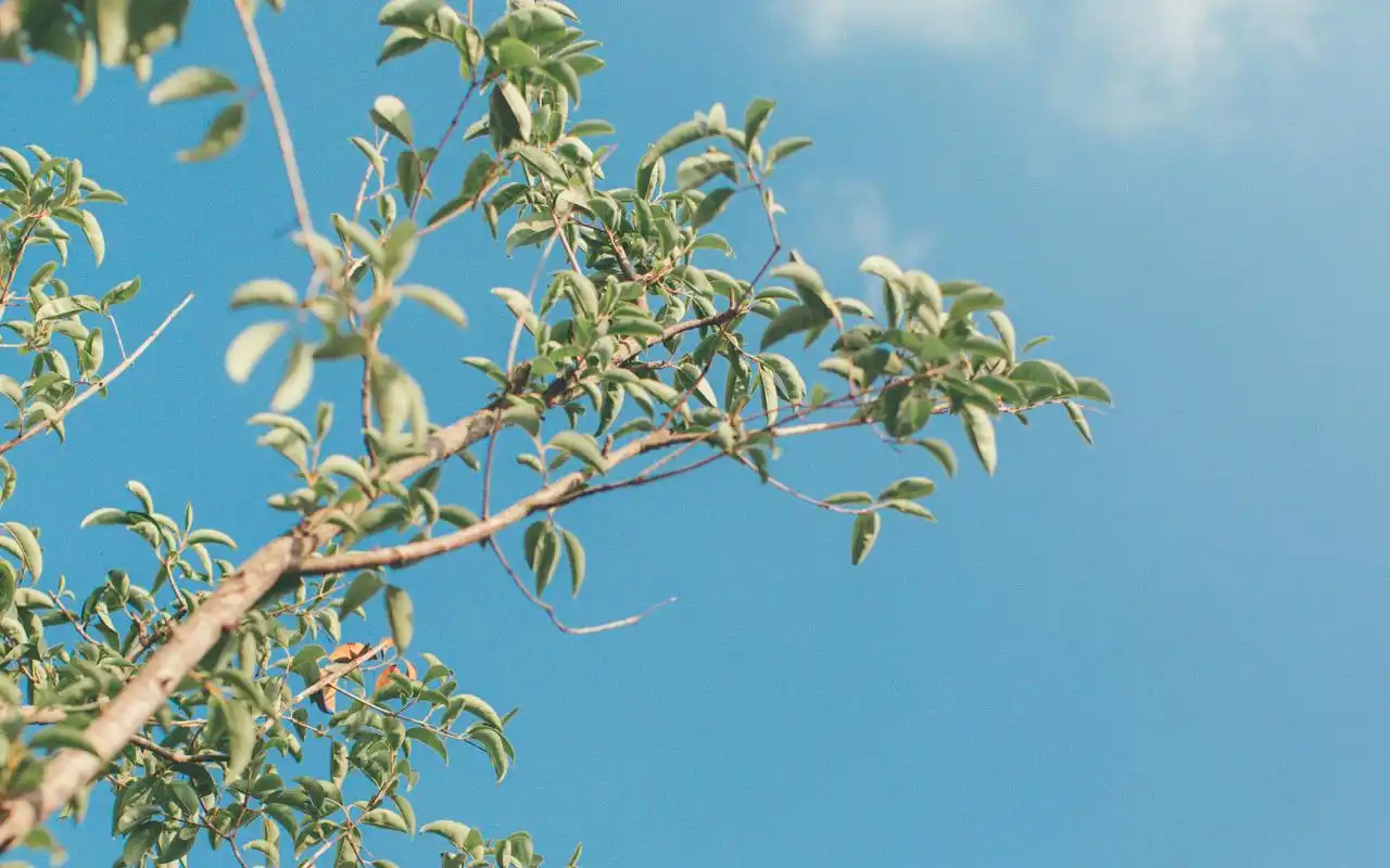 小清新唯美风景图片桌面电脑壁纸