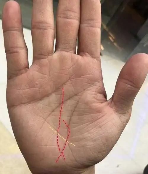 手相中出现这3纹,财运不断,福禄自来!