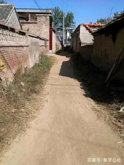 这就是现在的农村:情理之中,意料之外