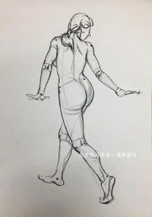 北京画室速写干货人体基本结构讲解
