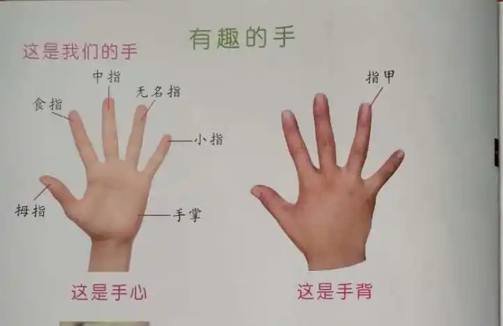 城关镇红太阳幼儿园停课不停学—— 4月10日星期五