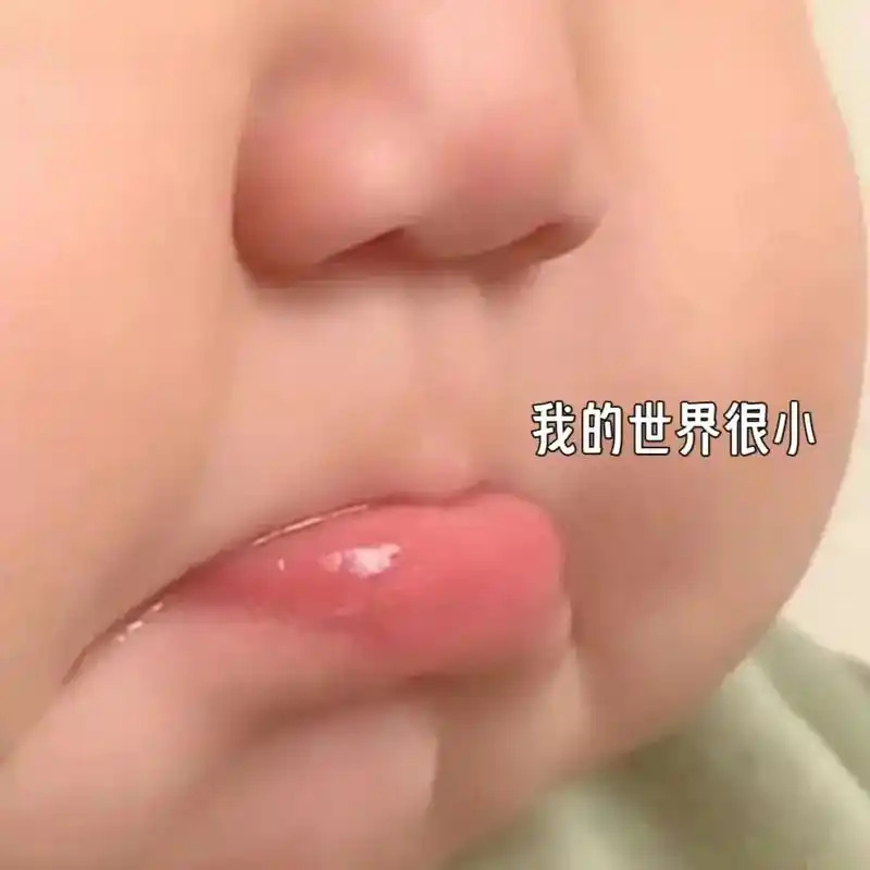 我的世界很小,你不回我消息的时候,我只能…#表情包 #可以发 - 抖音