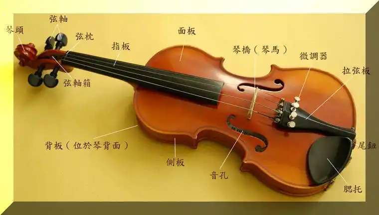 正确的练习小提琴姿势介绍