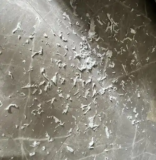 新拿出来的一卷新卫生纸放洗衣机上找不到了_卫生纸_记录生活_生活