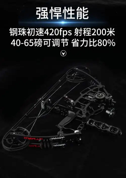 弓箭射箭初学专业入门比赛级传统射击箭支两用滑轮弓打钢珠弓射鱼军棍