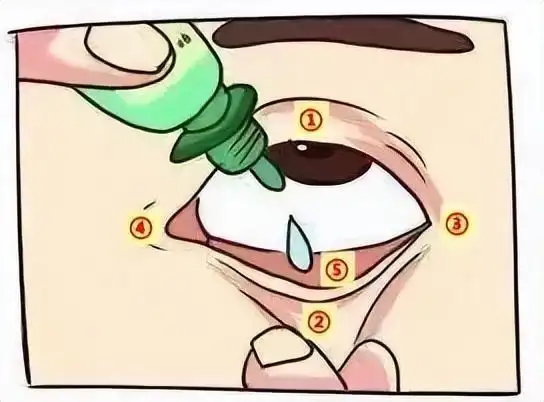 下眼睑|内眼角|制剂|眼膏_网易订阅