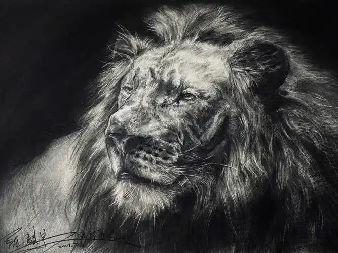 素描狮子附步骤图