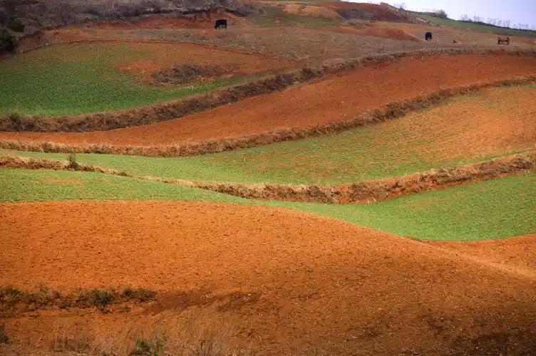 云南大山深处的红土地耕地,高清图片,电脑桌面-壁纸族