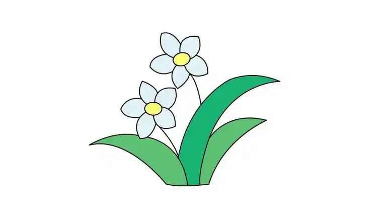 水仙花简笔画怎么画