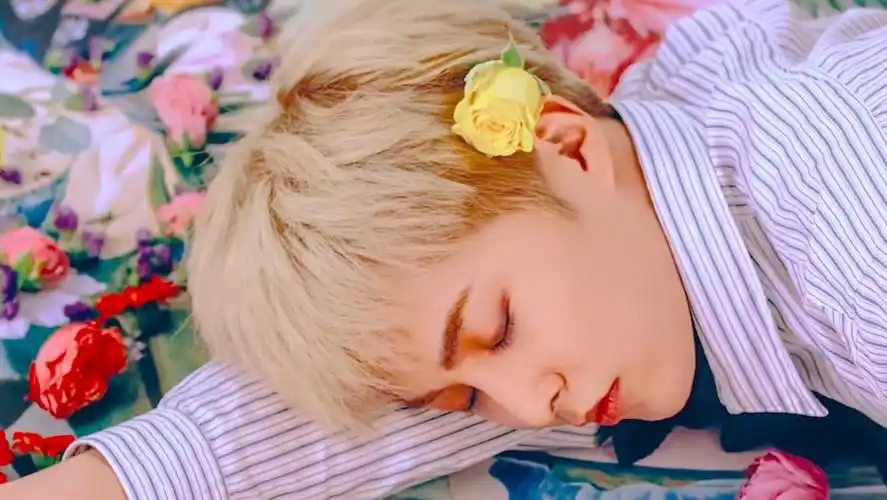 关注   金珉锡 xiumin  明星 金珉锡 xiumin 橙