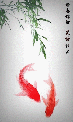 240_400竖版 竖屏gif 动态图 动图