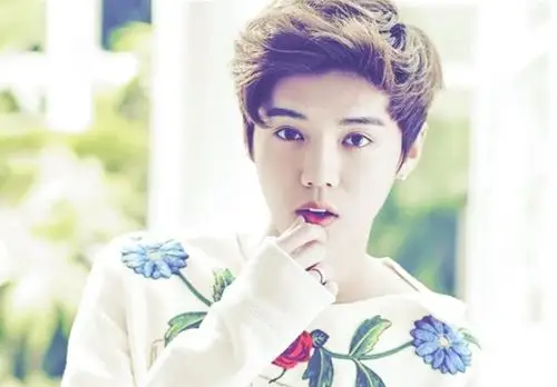 鹿晗爸爸鹿兆许资料 鹿晗家世惊人真的假的