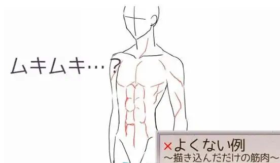 动漫人体肌肉怎么画?我教你不求人,动漫人体肌肉的!