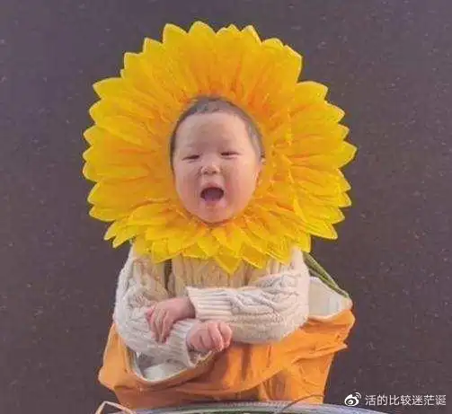 3岁网红屁桃祺祺遭受网暴被吐槽长相难看网友积点口德