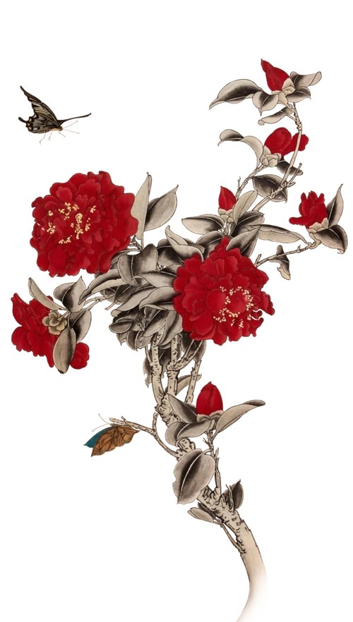 png高清免扣素材