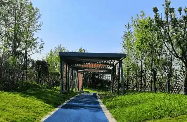 清水绿堤收官临江护塘河环线全景生态绿廊送你5大惊喜