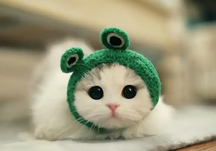 心情美美哒_帖子_oppo手机官方社区