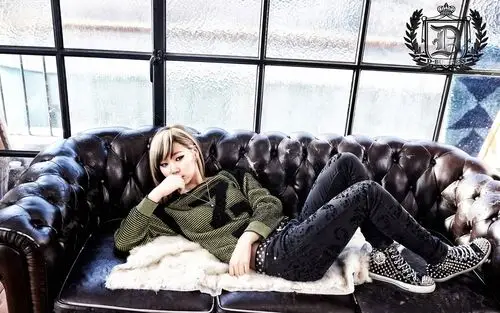 简介 这些是韩国女子组合c潮型桌面壁纸,他们比较潮流装扮,最有个性的